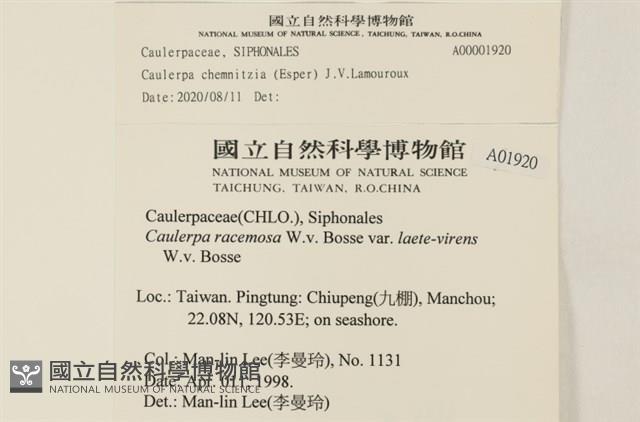 登錄號:A00001920藏品圖，第2張