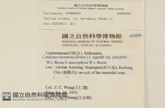 登錄號:A00004890藏品圖，第2張