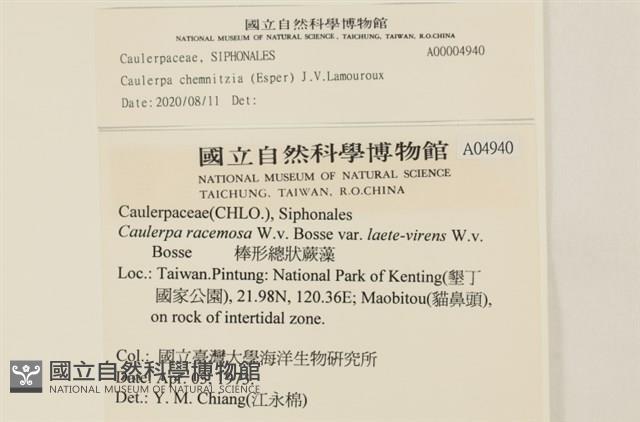 登錄號:A00004940藏品圖，第2張