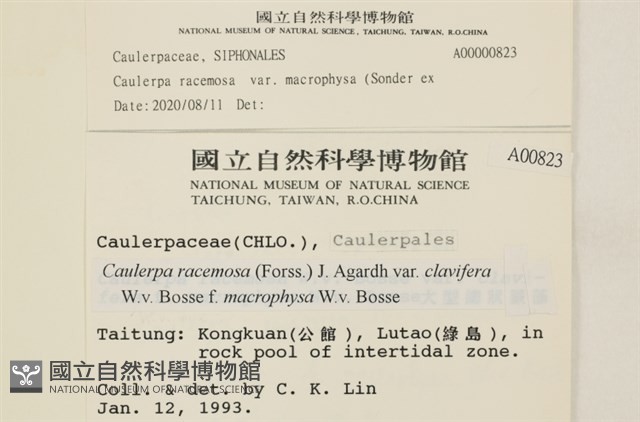登錄號:A00000823藏品圖，第2張