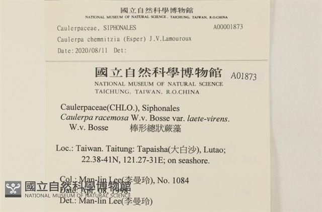 登錄號:A00001873藏品圖，第2張