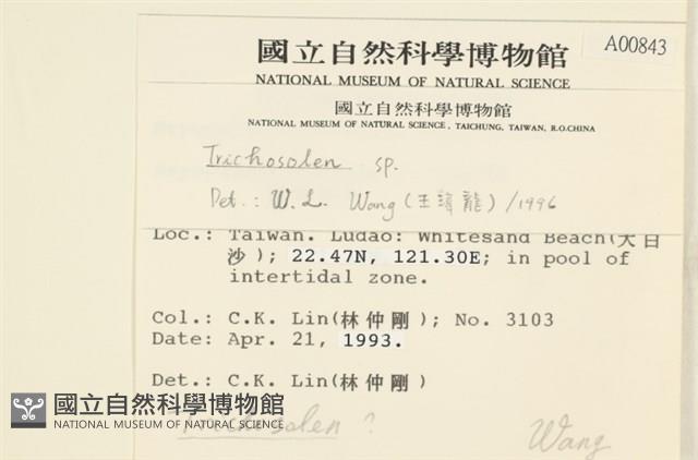 登錄號:A00000843藏品圖，第2張