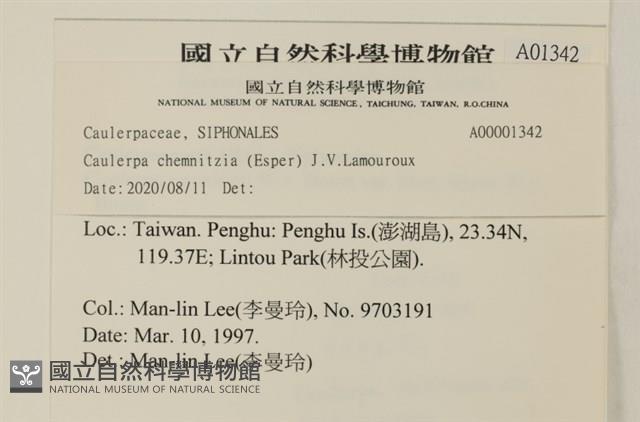 登錄號:A00001342藏品圖，第2張