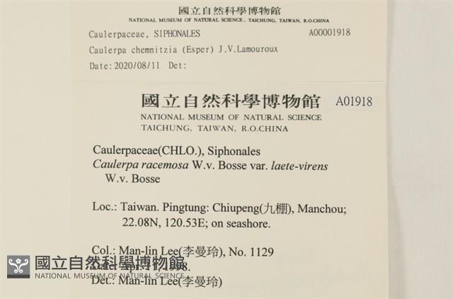 登錄號:A00001918藏品圖，第2張