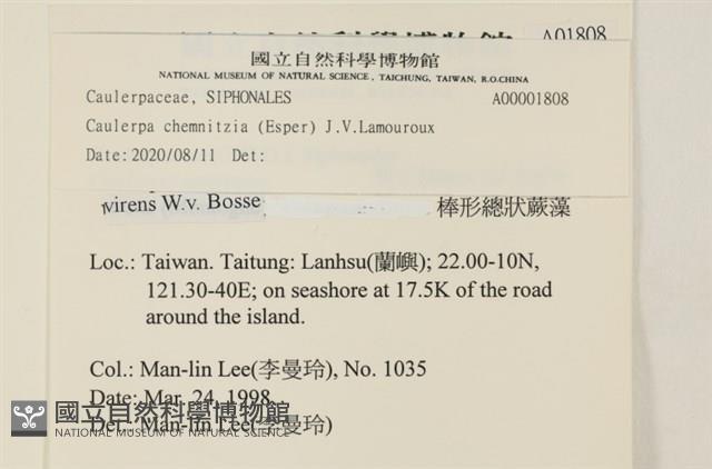 登錄號:A00001808藏品圖，第2張