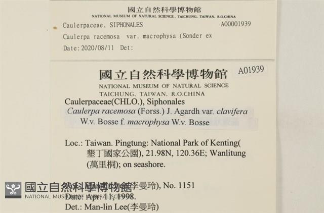 登錄號:A00001939藏品圖，第2張