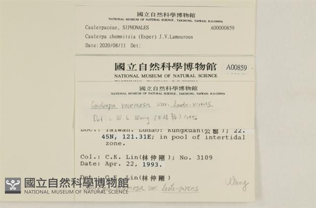 登錄號:A00000859藏品圖，第2張