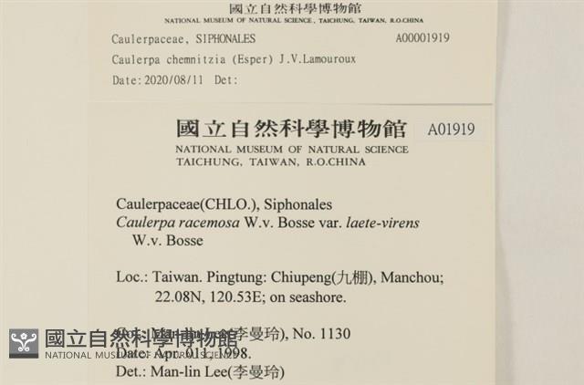 登錄號:A00001919藏品圖，第2張