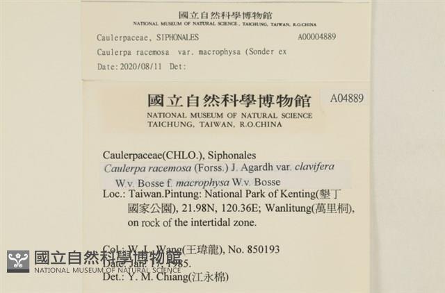 登錄號:A00004889藏品圖，第2張