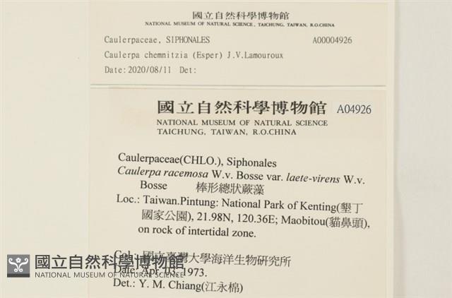 登錄號:A00004926藏品圖，第2張