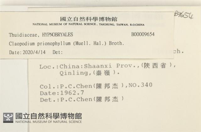 登錄號:B00009654藏品圖，第2張