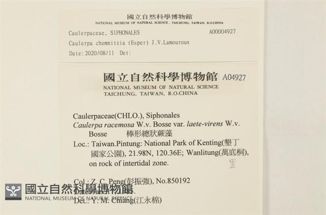 登錄號:A00004927藏品圖，第2張