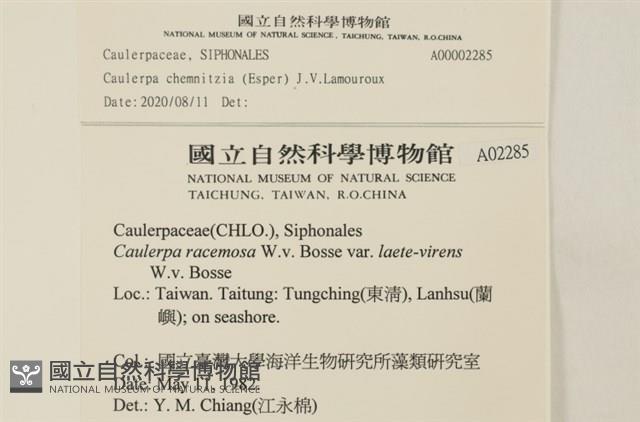 登錄號:A00002285藏品圖，第2張