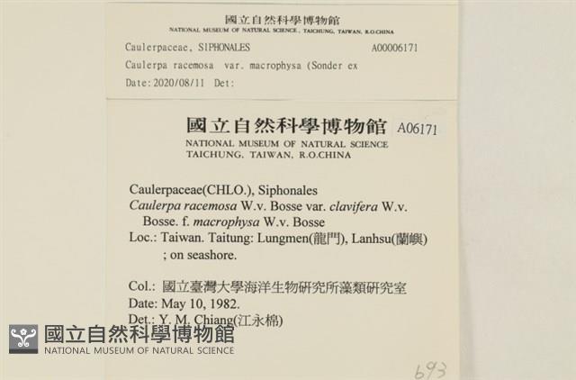 登錄號:A00006171藏品圖，第2張