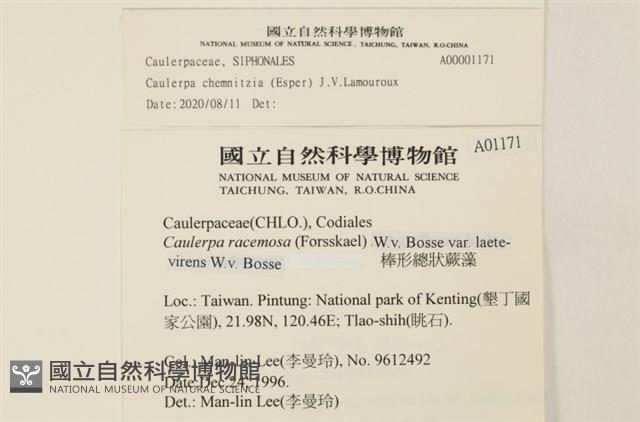登錄號:A00001171藏品圖，第2張