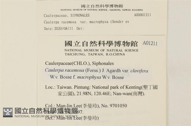 登錄號:A00001211藏品圖，第2張