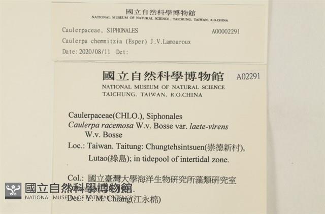 登錄號:A00002291藏品圖，第2張