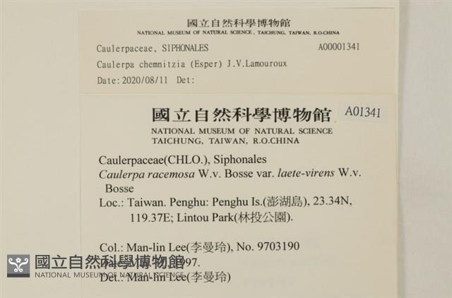 登錄號:A00001341藏品圖，第2張