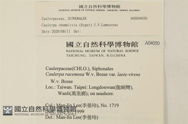登錄號:A00004050藏品圖，第2張