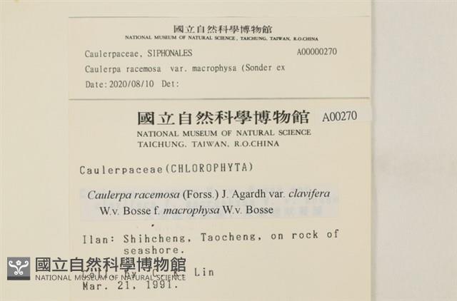 登錄號:A00000270藏品圖，第2張