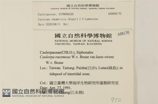 登錄號:A00006170藏品圖，第2張