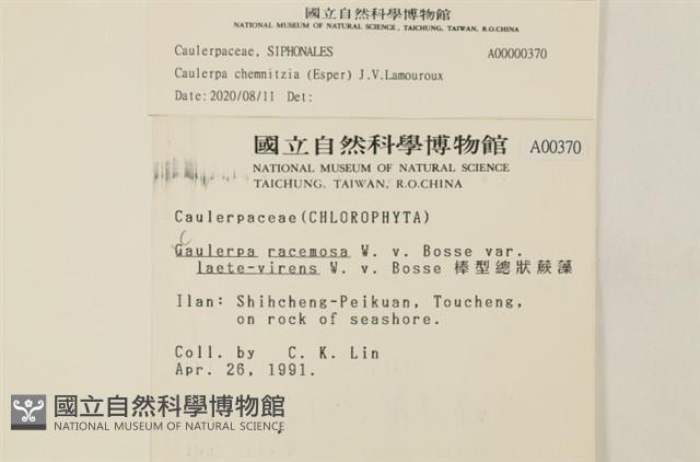 登錄號:A00000370藏品圖，第2張