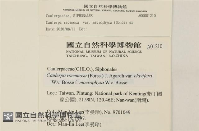 登錄號:A00001210藏品圖，第2張