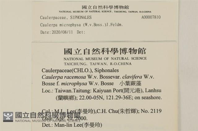 館號:A00007810藏品圖，第2張