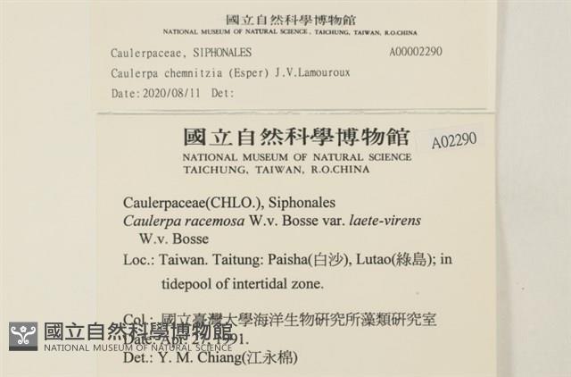 登錄號:A00002290藏品圖，第2張