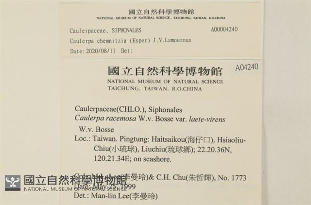 登錄號:A00004240藏品圖，第2張