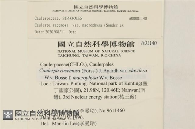 登錄號:A00001140藏品圖，第2張