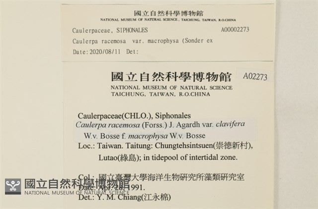 登錄號:A00002273藏品圖，第2張