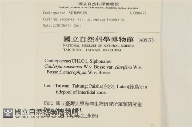 登錄號:A00006173藏品圖，第2張