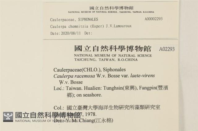 登錄號:A00002293藏品圖，第2張