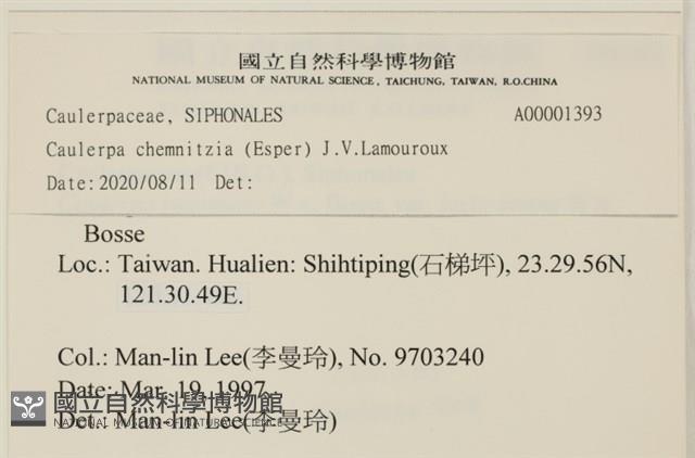 登錄號:A00001393藏品圖，第2張
