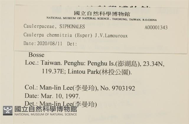 登錄號:A00001343藏品圖，第2張