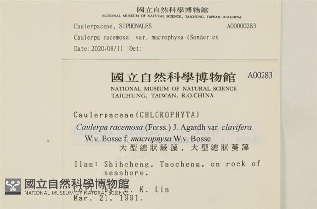 Accession Number:A00000283 Collection Image, Figure 2, Total 2 Figures