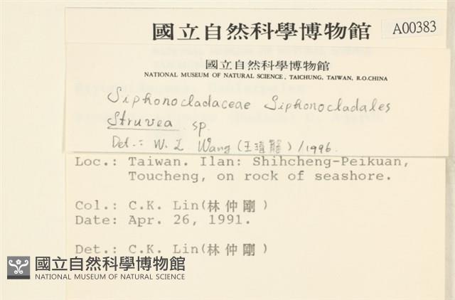 登錄號:A00000383藏品圖，第2張