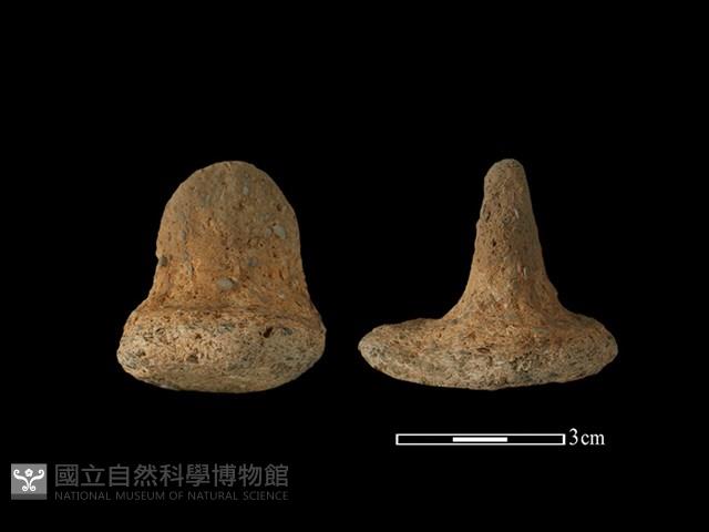 陶蓋鈕藏品圖，第1張