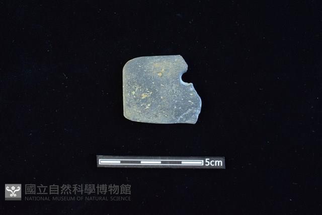 Accession Number:AA2019032922 Collection Image, Figure 1, Total 2 Figures