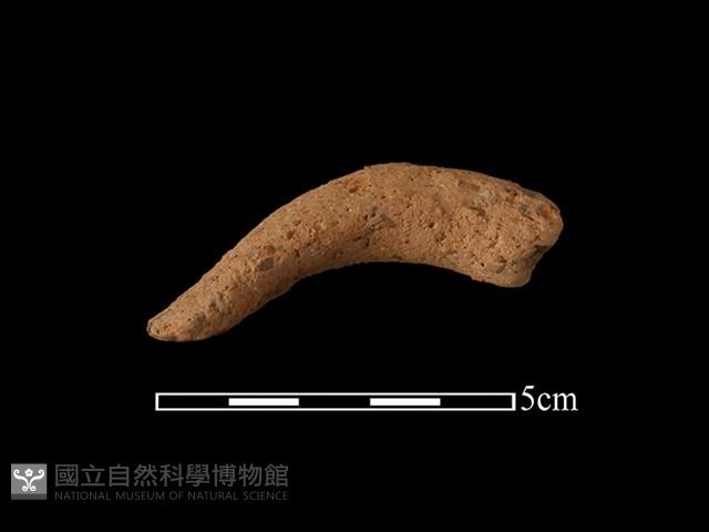 陶把藏品圖，第1張