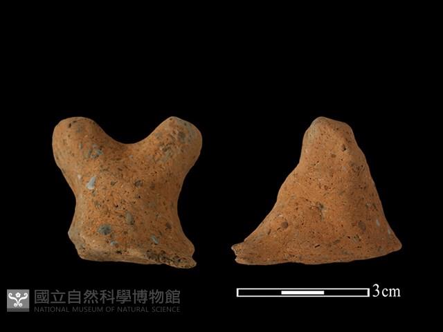 陶蓋鈕藏品圖，第1張