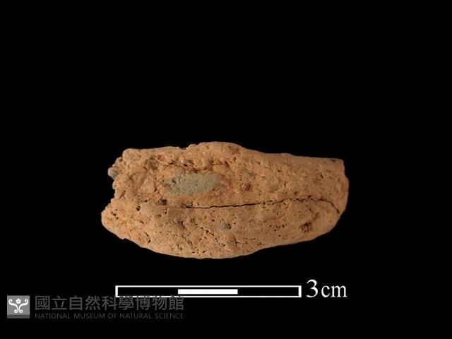 陶耳藏品圖，第1張