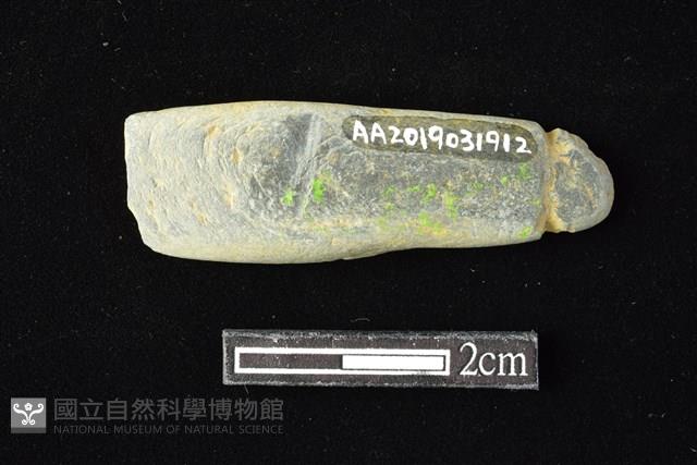 網墜藏品圖，第1張