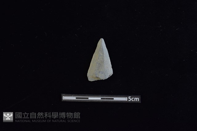 矛鏃形器藏品圖，第1張