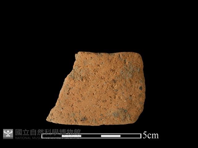 陶片藏品圖，第1張