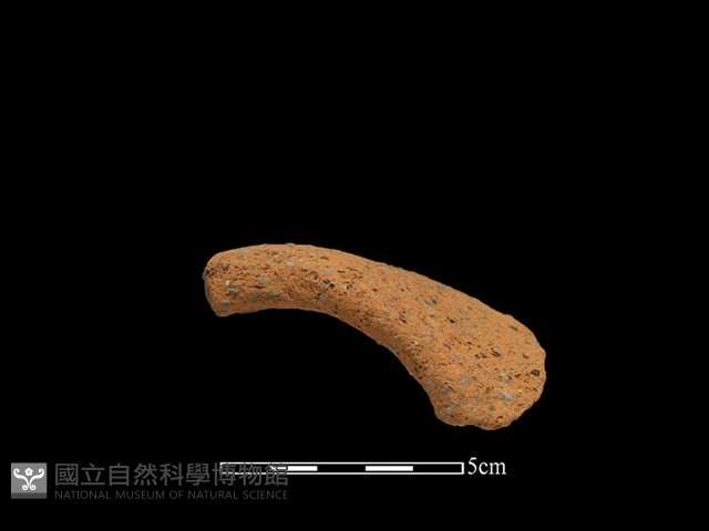 陶把藏品圖，第1張