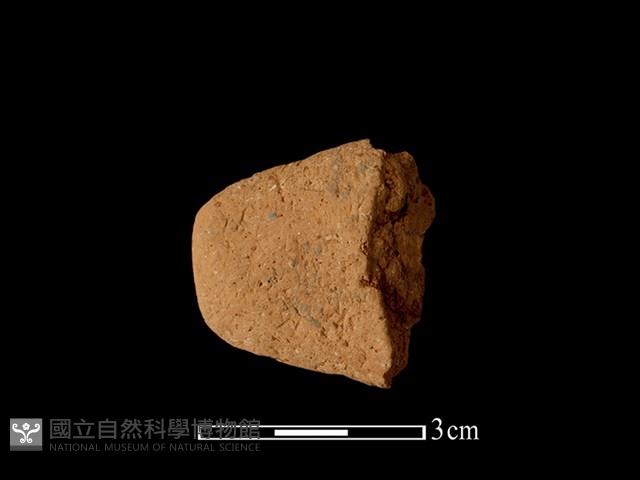 陶耳藏品圖，第1張