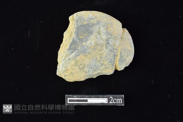 網墜藏品圖，第1張