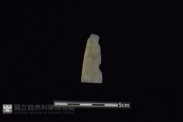 矛鏃形器藏品圖，第1張